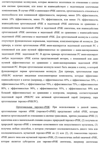 Система экспрессии компонентов ортогональной трансляции в эубактериальной клетке-хозяине (патент 2467069)