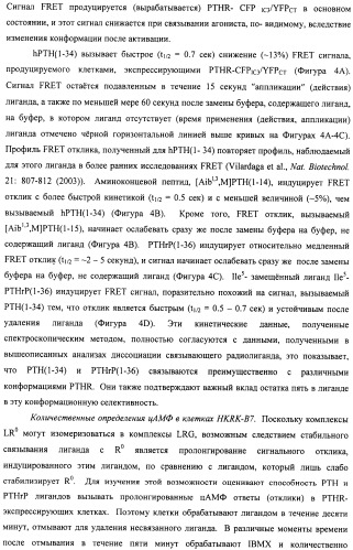 Способы скрининга с применением g-белок сопряженных рецепторов и родственных композиций (патент 2506274)