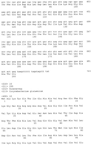 Гены corynebacterium glutamicum, кодирующие белки резистентности и толерантности к стрессам (патент 2303635)