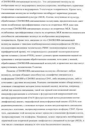 Терапевтические связывающие молекулы в виде химерного антитела (патент 2405790)