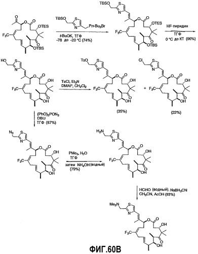 Синтез эпотилонов, их промежуточных продуктов, аналогов и их применения (патент 2311415)
