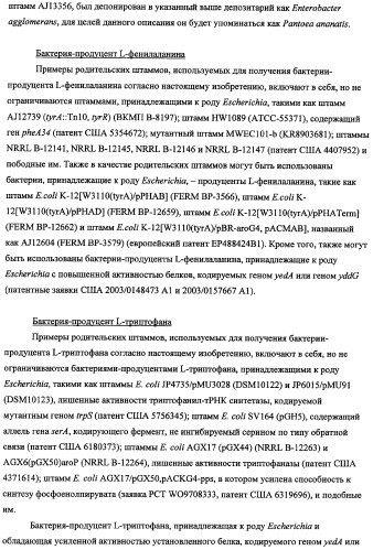 Способ получения l-треонина с использованием бактерии, принадлежащей к роду escherichia, в которой инактивирован ген fhua (патент 2333955)