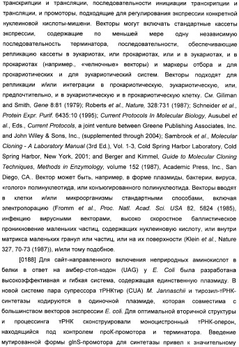 Генетически кодируемые флюоресцентные кумариновые аминокислоты (патент 2473690)