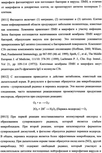 Иммуногенная композиция и способ разработки вакцины, основанной на участках связывания фактора н (патент 2364413)