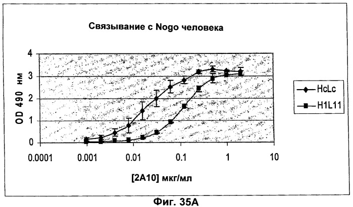 Nogo-a-нейтрализующие иммуноглобулины для лечения неврологических заболеваний (патент 2362780)