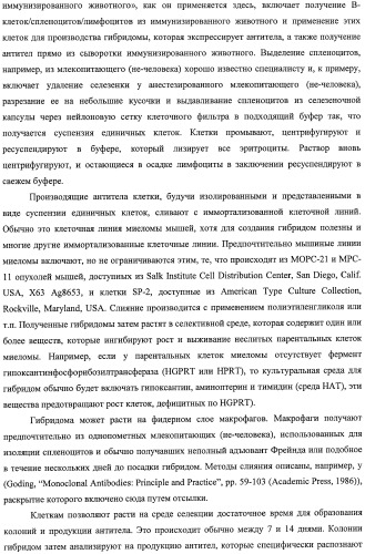 Моноклональные антитела против nkg2a (патент 2481356)