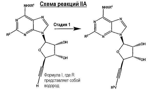 Частичные и полные агонисты аденозиновых рецепторов a 1 (патент 2340623)