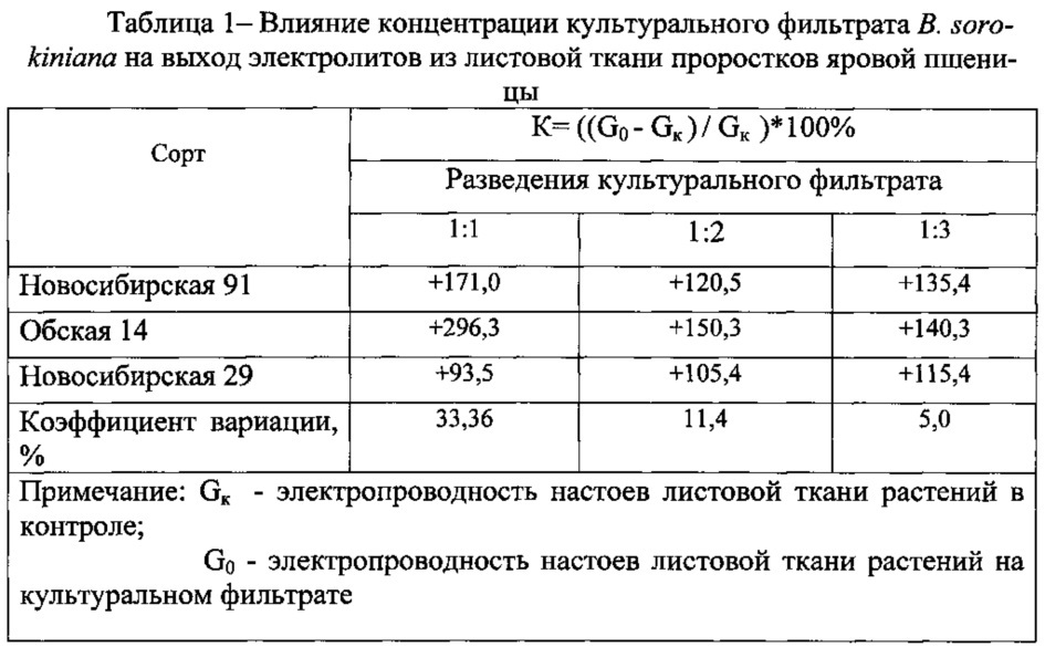 Способ определения относительной устойчивости сортов мягкой яровой пшеницы к возбудителю обыкновенной корневой гнили злаков (патент 2625027)