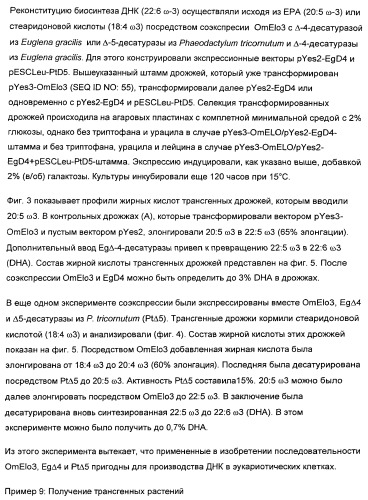 Способ получения полиненасыщенных жирных кислот в трансгенных растениях (патент 2449007)