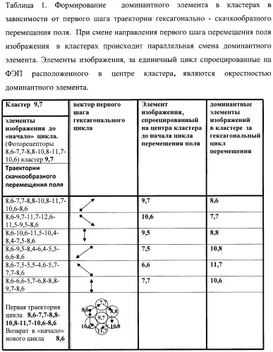 Способ восприятия элементов поля изображения микрообъектов (патент 2479027)