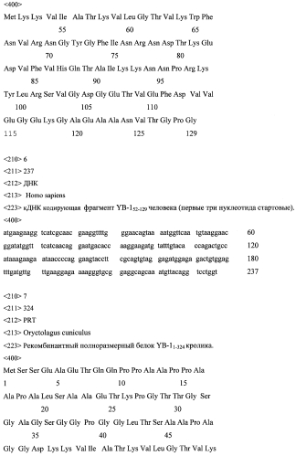 Применение белка yb-1 и его фрагментов для изготовления лекарственных средств при лечении болезни альцгеймера (патент 2561050)