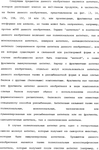 Ее3-семейство белков и соответствующие днк-последовательности (патент 2333918)