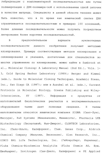 Scfv против egfrviii с улучшенной цитотоксичностью и выходом, иммунотоксины на их основе и способы их применения (патент 2317999)