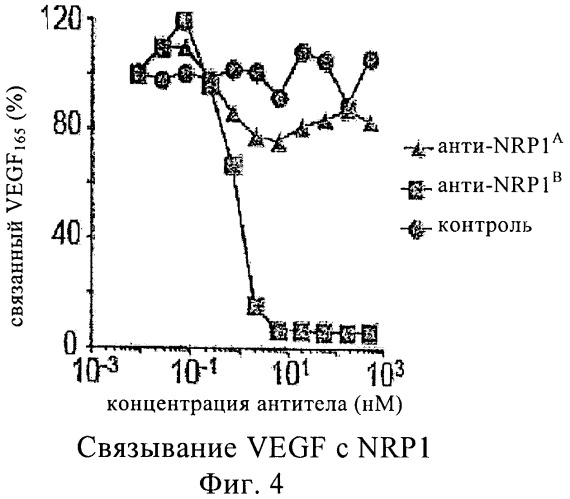Антагонисты нейропилина (патент 2425842)