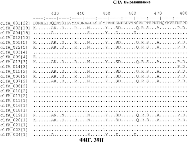 Стабильные иммуногенные композиции антигенов staphylococcus aureus (патент 2570730)