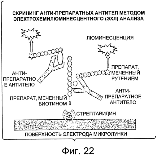 Композиции и способы для лечения болезни гоше (патент 2568831)