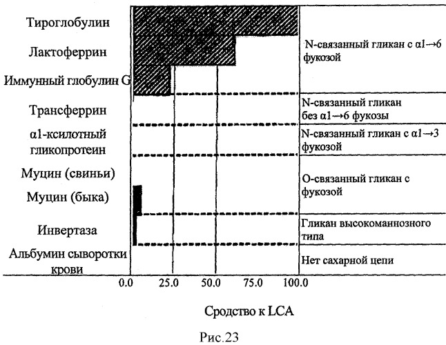 L-фукоза α1→6 специфичный лектин (патент 2524425)