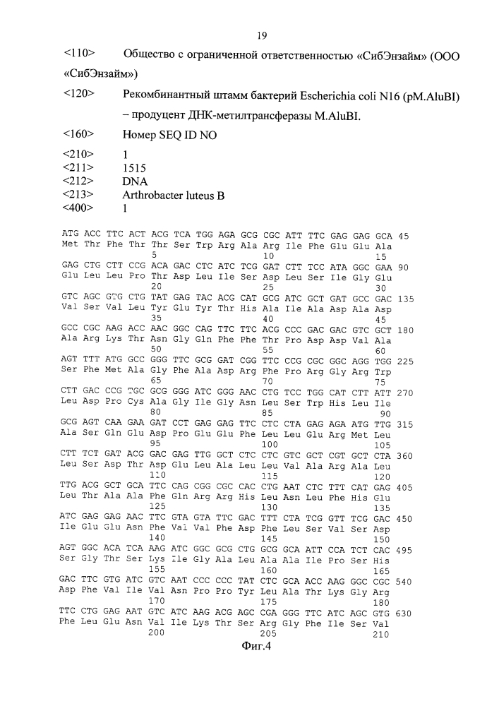 Рекомбинантный штамм бактерий escherichia coli n16 (pm.alubi) - продуцент днк-метилтрансферазы m.alubi (патент 2603086)