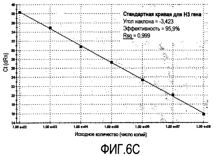 Штамм вируса гриппа а собак (варианты), иммуногенный полипептид, полинуклеотид, кодирующий его, вектор экспрессии полипептида, иммуногенная композиция, содержащая полипептид, и способ индукции иммунного ответа у животного (патент 2449014)