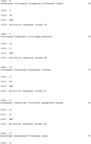 Бактерия, принадлежащая к роду escherichia, в которой инактивирован ген pnp, - продуцент l-треонина, и способ получения l-треонина (патент 2330883)