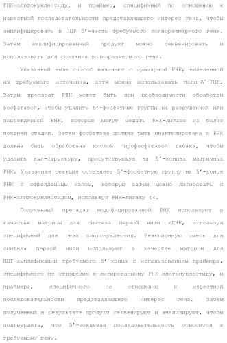 Слитые белки альбумина (патент 2369404)