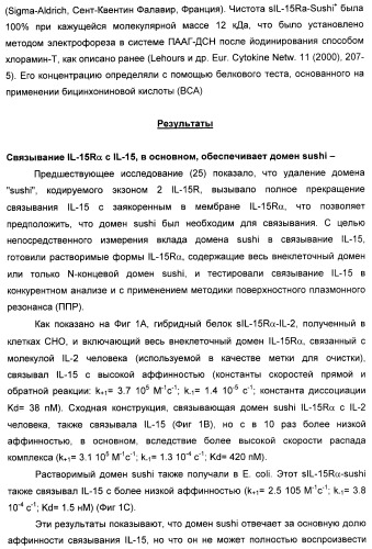 Соединение, предназначенное для стимуляции пути передачи сигнала через il-15rбета/гамма, с целью индуцировать и/или стимулировать активацию и/или пролиферацию il-15rбета/гамма-положительных клеток, таких как nk-и/или t-клетки, нуклеиновая кислота, кодирующая соединение, вектор экспрессии, клетка-хозяин, адъювант для иммунотерапевтической композиции, фармацевтическая композиция и лекарственное средство для лечения состояния или заболевания, при котором желательно повышение активности il-15, способ in vitro индукции и/или стимуляции пролиферации и/или активации il-15rбета/гамма-положительных клеток и способ получения in vitro активированных nk-и/или t-клеток (патент 2454463)