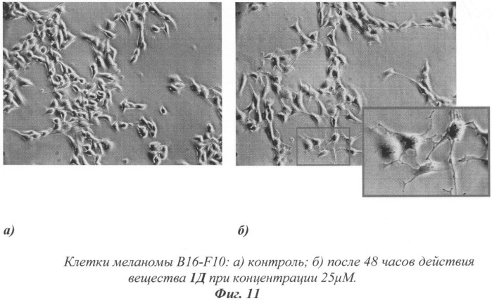 Производные флуорена, обладающие антипролиферативной активностью, модуляторы клеточной дифференцировки, способ замедления скорости пролиферации опухолевых клеток, способ индукции дифференциации в клетках меланомы мышей (патент 2409568)