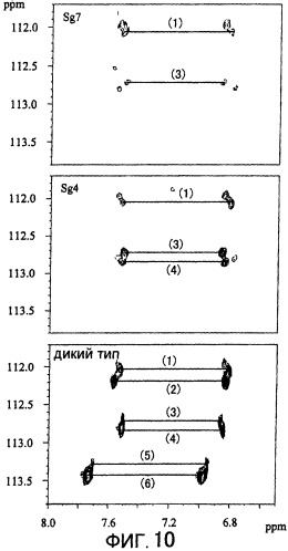 Способ модифицирования трансглутаминаз микроорганизмов (патент 2260051)