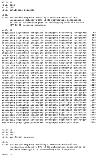 Векторы для множественной генной экспрессии (патент 2462513)