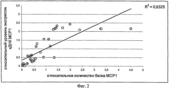 Способ определения уровня транскрипции гена, кодирующего хемокин ccl2 (мср-1) человека и набор для его осуществления (патент 2522801)