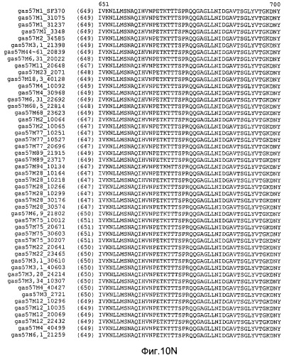 Мутантные антигены gas57 и антитела против gas57 (патент 2471497)