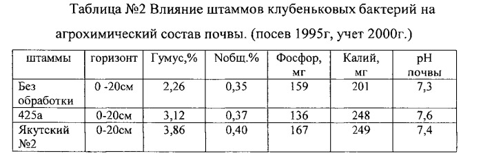 Способ повышения содержания гумуса почвы с применением штамма клубеньковых бактерий якутский №2 люцерны (патент 2537901)