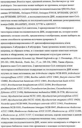 Способ избирательного получения растений с мужской или женской стерильностью (патент 2320722)