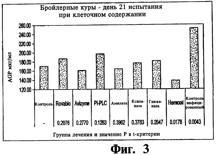 Снижающая иммунный стресс композиция (варианты), способ улучшения показателей роста и способ снижения иммунного стресса с ее помощью (патент 2465005)