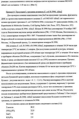 Способ получения l-треонина с использованием бактерии, принадлежащей к роду escherichia, в которой инактивирован кластер генов sfmacdfh-fimz или ген fimz (патент 2333953)