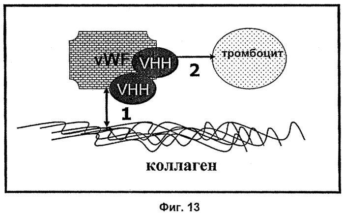 Терапевтические полипептиды, их гомологи, их фрагменты и их применение для модуляции агрегации, опосредованной тромбоцитами (патент 2524129)