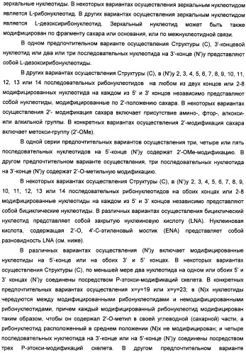 Новые структуры малых интерферирующих рнк (sirna) (патент 2487716)