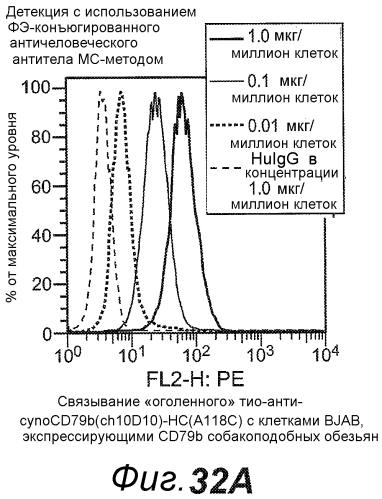 Анти-cd79b антитела и иммуноконъюгаты и способы их применения (патент 2553566)