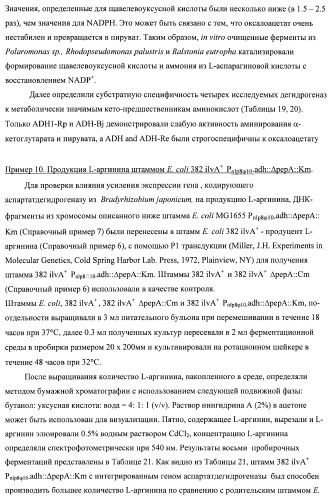 Бактерия семейства enterobacteriaceae - продуцент l-аспарагиновой кислоты или метаболитов, производных l-аспарагиновой кислоты, и способ получения l-аспарагиновой кислоты или метаблитов, производных l-аспарагиновой кислоты (патент 2472853)