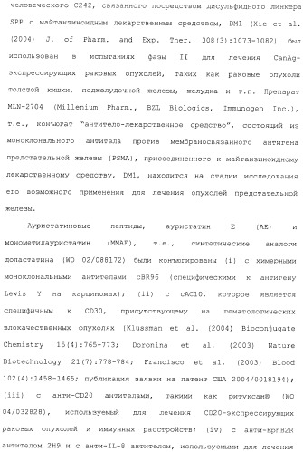 Антитела, сконструированные на основе цистеинов, и их конъюгаты (патент 2412947)