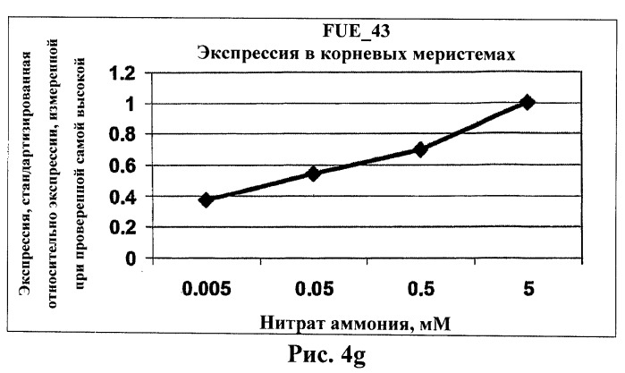 Изолированные полипептиды, кодирующие их полинуклеотиды, экспрессирующие их трансгенные растения и способы их использования (патент 2487166)