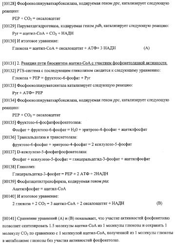 Использование фосфокетолазы для продукции полезных метаболитов (патент 2322496)