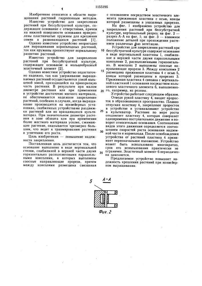 Устройство для закрепления растений при бессубстратной культуре (патент 1155195)