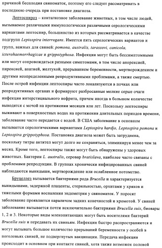 Поливалентные иммуногенные композиции pcv2 и способы получения таких композиций (патент 2488407)