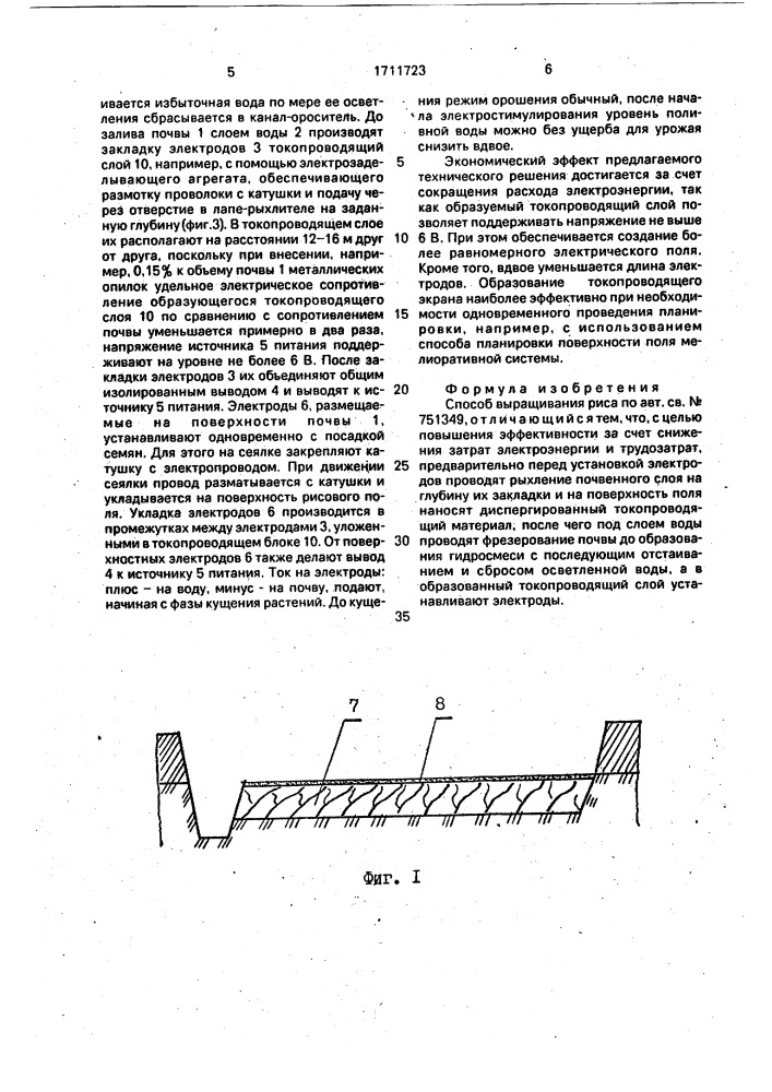 Способ выращивания риса (патент 1711723)