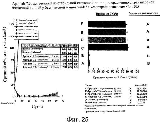 Антитела к dr5 и их применения (патент 2458072)