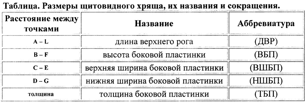 Способ определения прижизненного возраста ребенка по фрагментам шеи (патент 2651049)