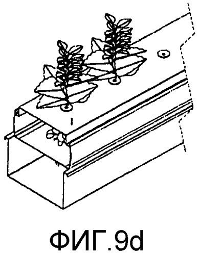 Устройство и способ выращивания одного или нескольких растений (патент 2558969)