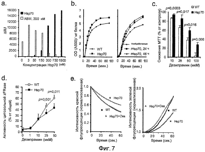 Применение hsp70 в качестве регулятора ферментативной активности (патент 2521672)