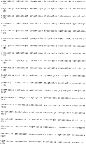 Лечение сиртуин 1 (sirt1)-связанных заболеваний путем ингибирования натурального антисмыслового транскрипта (патент 2551234)